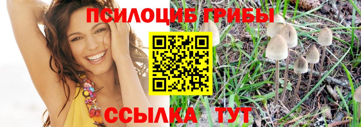 Галлюциногенные грибы мицелий Конаково